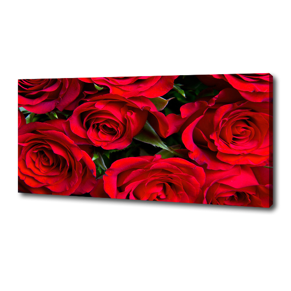 Bild auf leinwand Rote Rosen