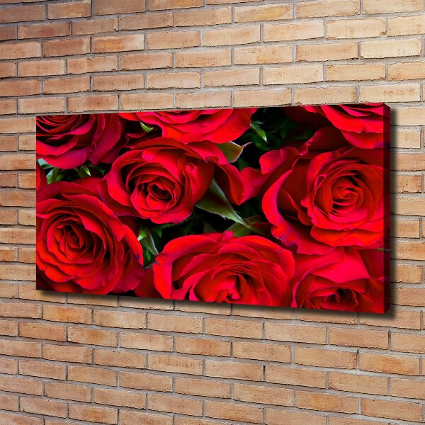 Bild auf leinwand Rote Rosen