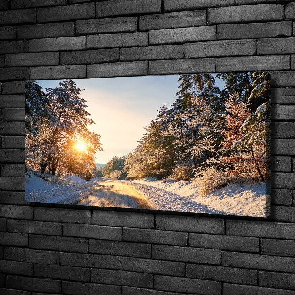 Bild auf leinwand Eine Straße im Wald im Winter