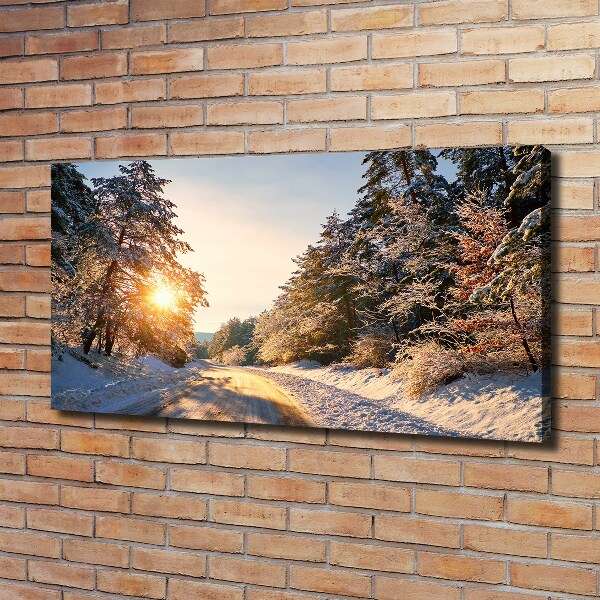 Bild auf leinwand Eine Straße im Wald im Winter