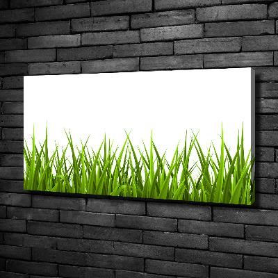 Bild auf leinwand Gras
