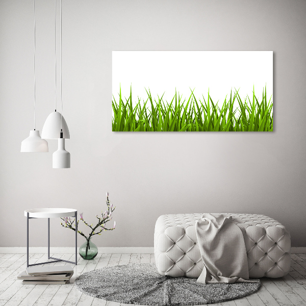 Bild auf leinwand Gras