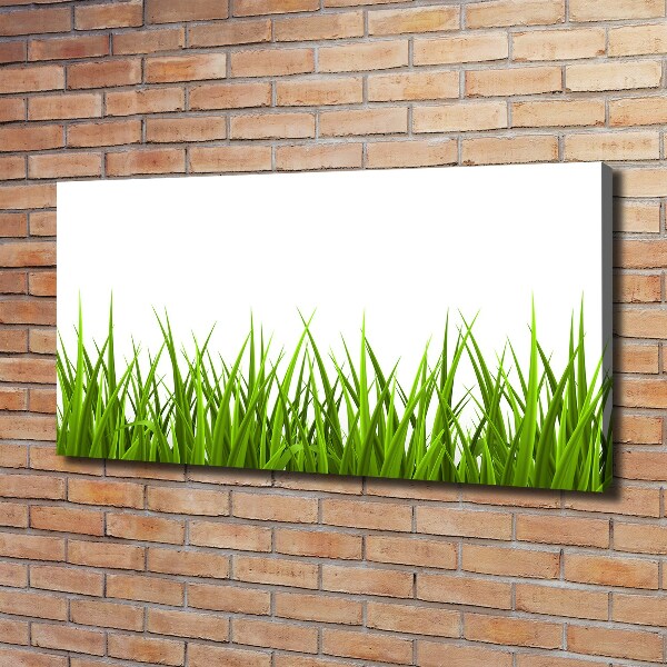 Bild auf leinwand Gras