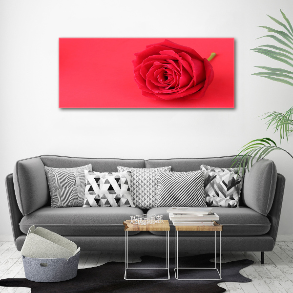 Wandbild Rote Rose