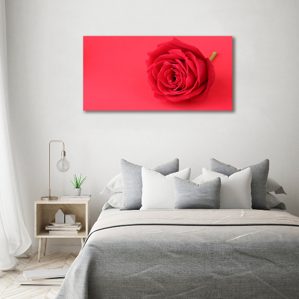 Wandbild Rote Rose