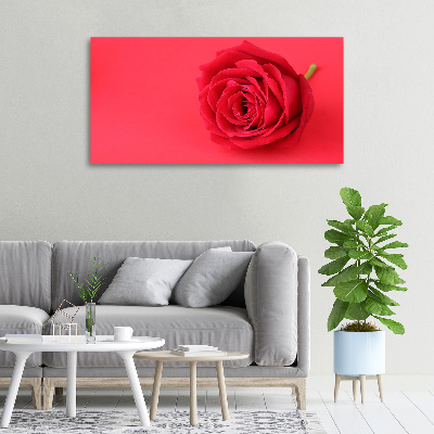 Wandbild Rote Rose