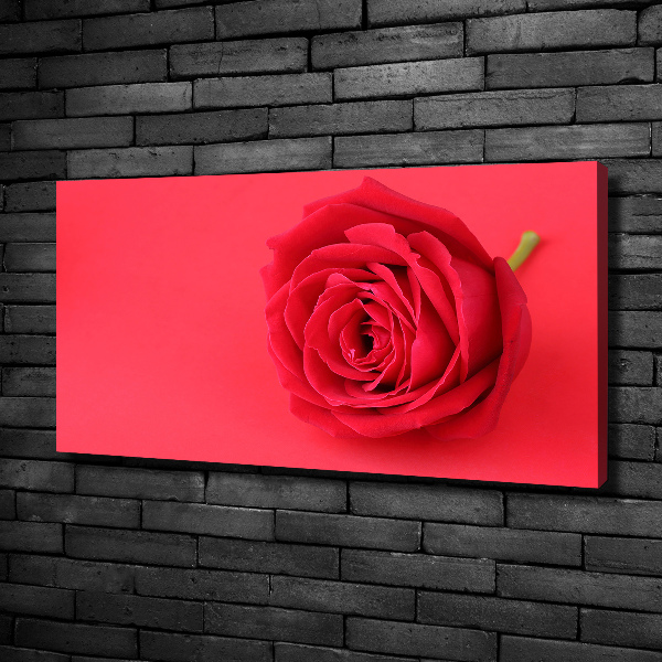 Wandbild Rote Rose