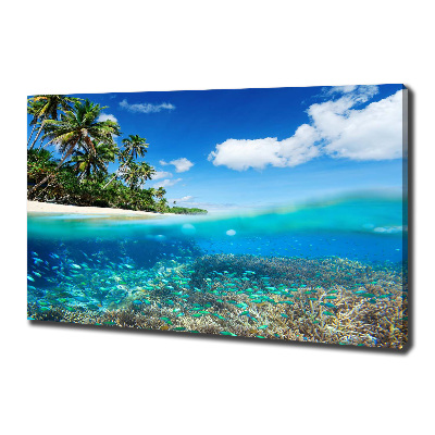 Bild auf leinwand Korallenriff