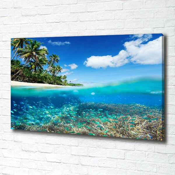 Bild auf leinwand Korallenriff