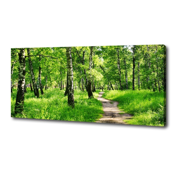 Wandbild Birkenwald