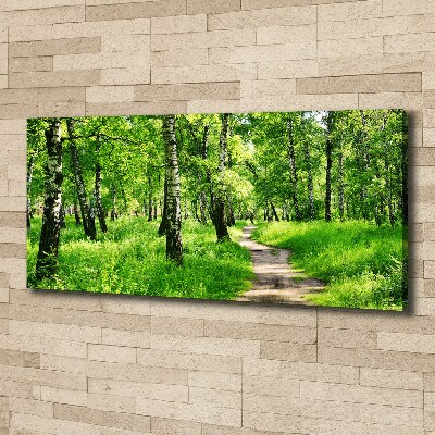 Wandbild Birkenwald