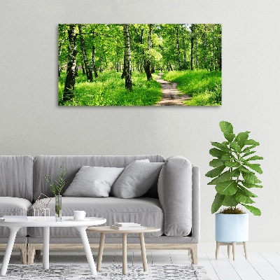 Wandbild Birkenwald