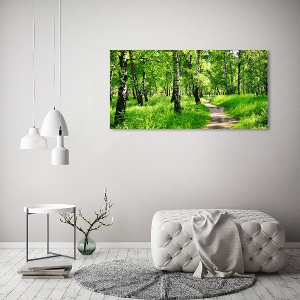 Wandbild Birkenwald