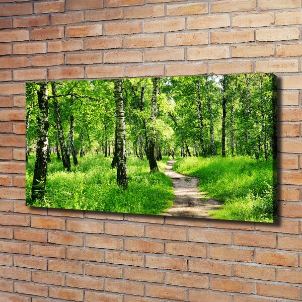 Wandbild Birkenwald