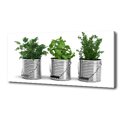 Wandbild Aromatische Pflanzen