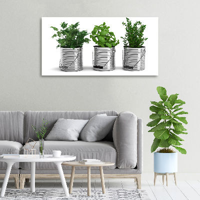 Wandbild Aromatische Pflanzen