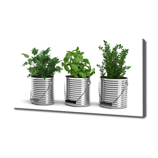 Wandbild Aromatische Pflanzen