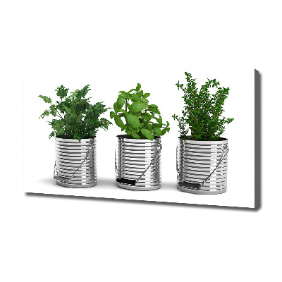 Wandbild Aromatische Pflanzen