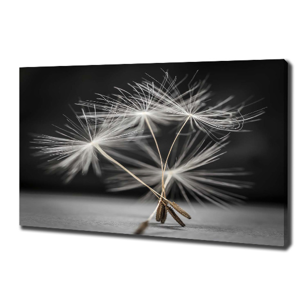 Bild auf leinwand Löwenzahnsamen