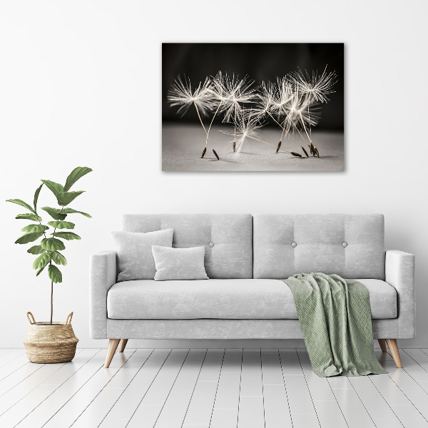 Wandbild Löwenzahnsamen