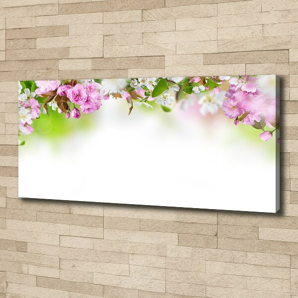 Bild auf leinwand Frühlingsblumen