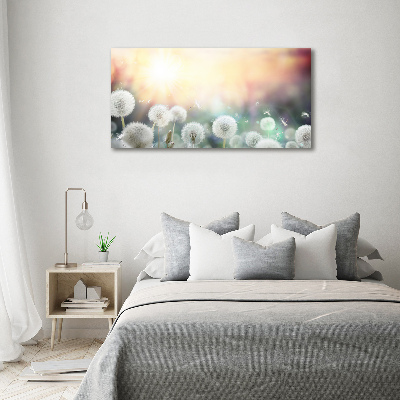 Wandbild Löwenzahnfeld