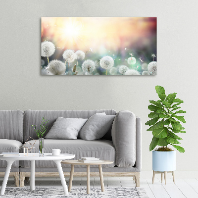 Wandbild Löwenzahnfeld