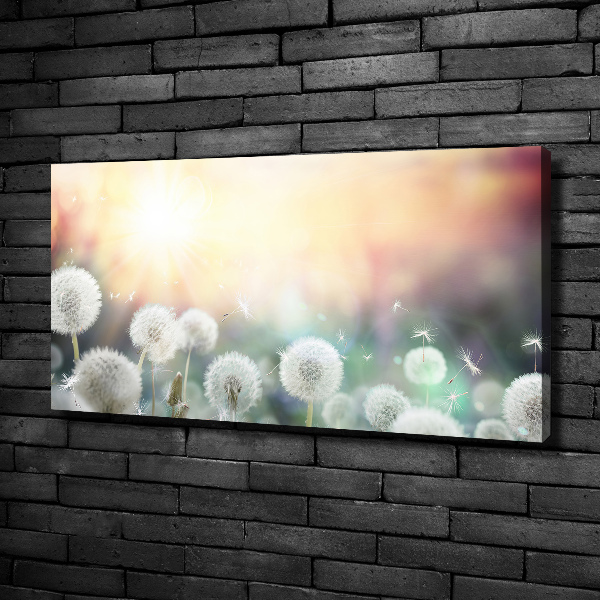 Wandbild Löwenzahnfeld