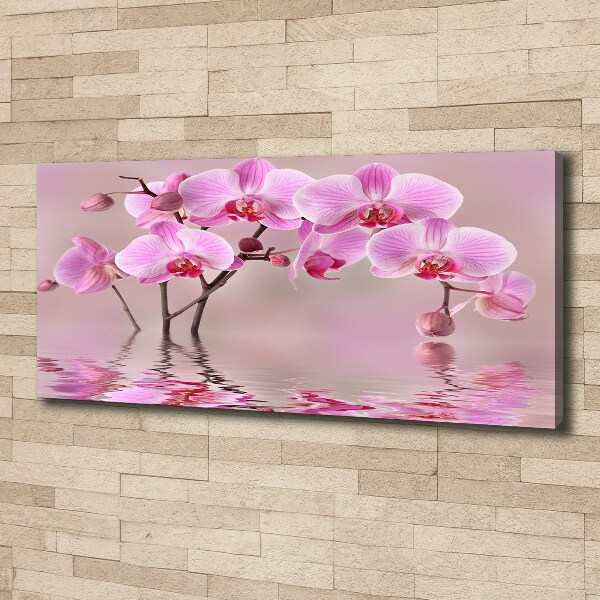 Bild auf leinwand Rosa Orchidee