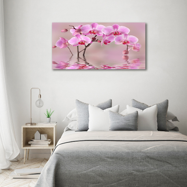 Bild auf leinwand Rosa Orchidee