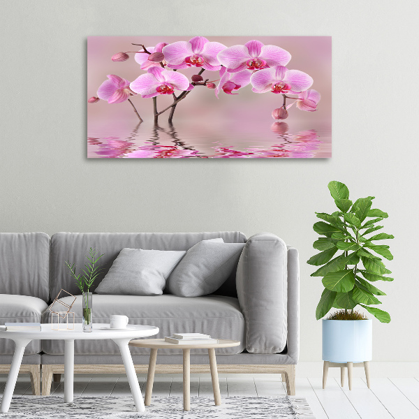 Bild auf leinwand Rosa Orchidee