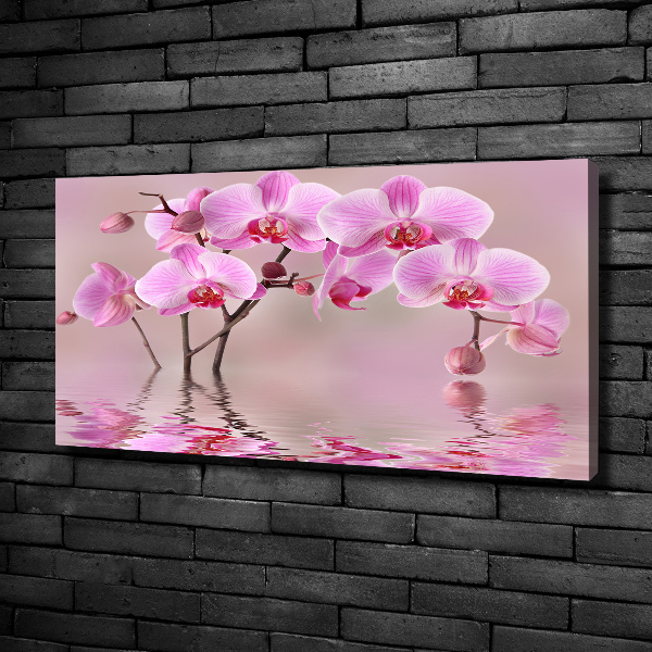 Bild auf leinwand Rosa Orchidee
