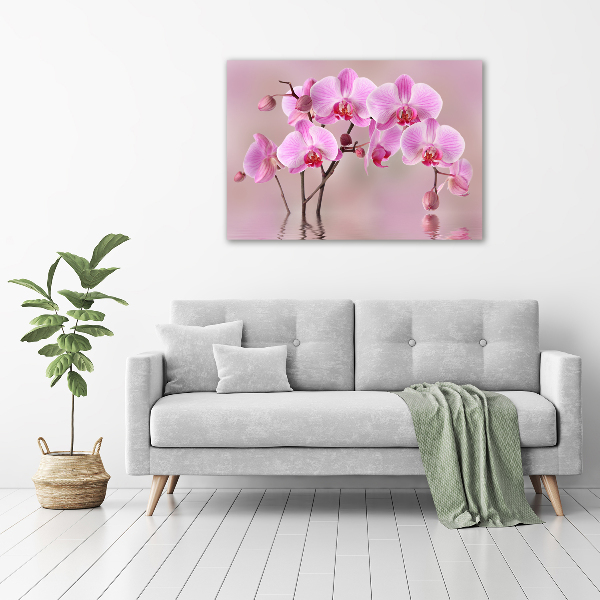 Bild auf leinwand Rosa Orchidee