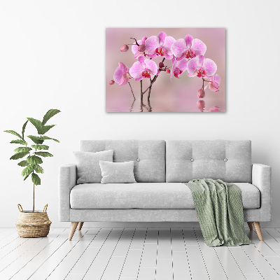 Bild auf leinwand Rosa Orchidee