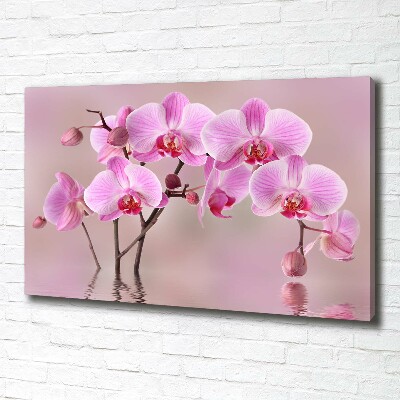 Bild auf leinwand Rosa Orchidee