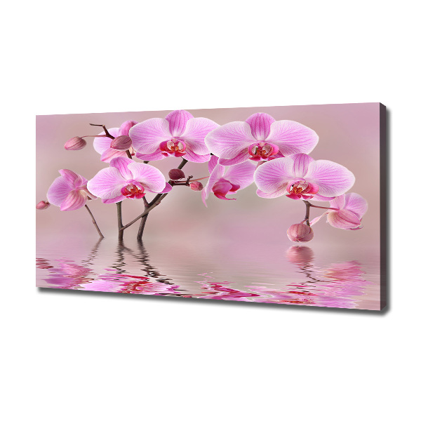 Bild auf leinwand Rosa Orchidee