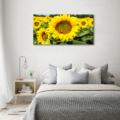 Wandbild Ein Sonnenblumenfeld