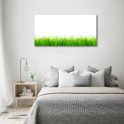 Bild auf leinwand Gras