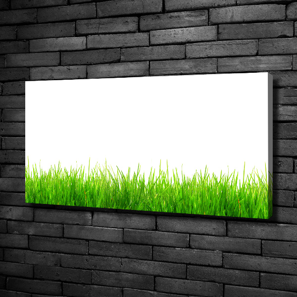 Bild auf leinwand Gras