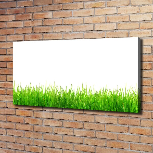 Bild auf leinwand Gras