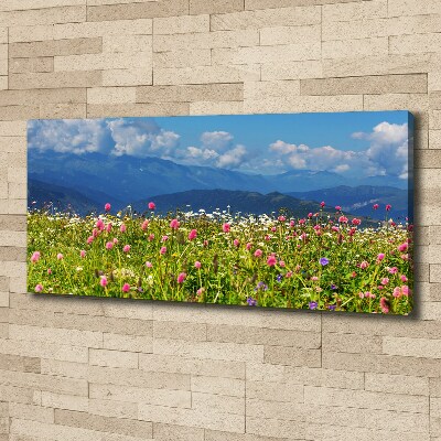 Fotobild Wiese in den Bergen