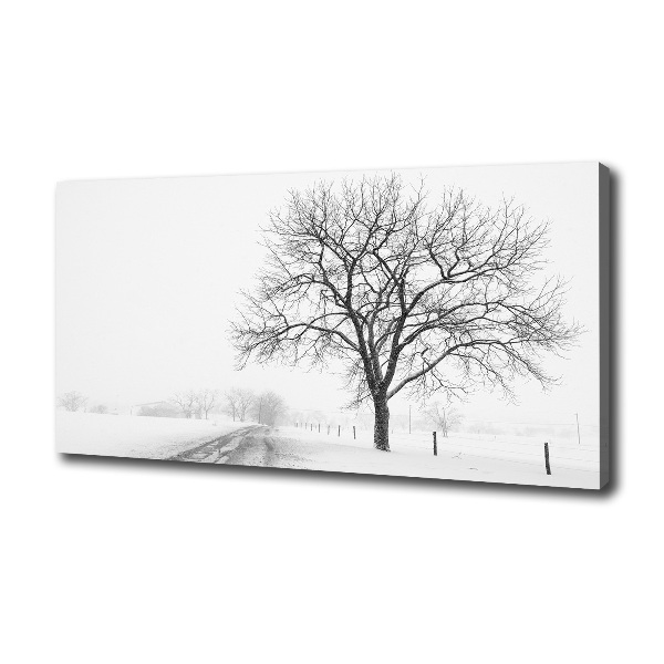 Bild auf leinwand Baum im Winter