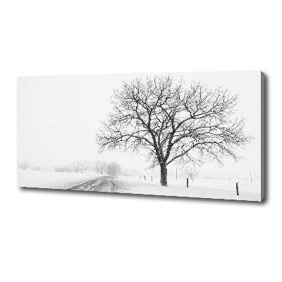 Bild auf leinwand Baum im Winter