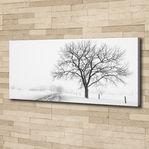 Bild auf leinwand Baum im Winter