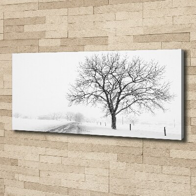 Bild auf leinwand Baum im Winter