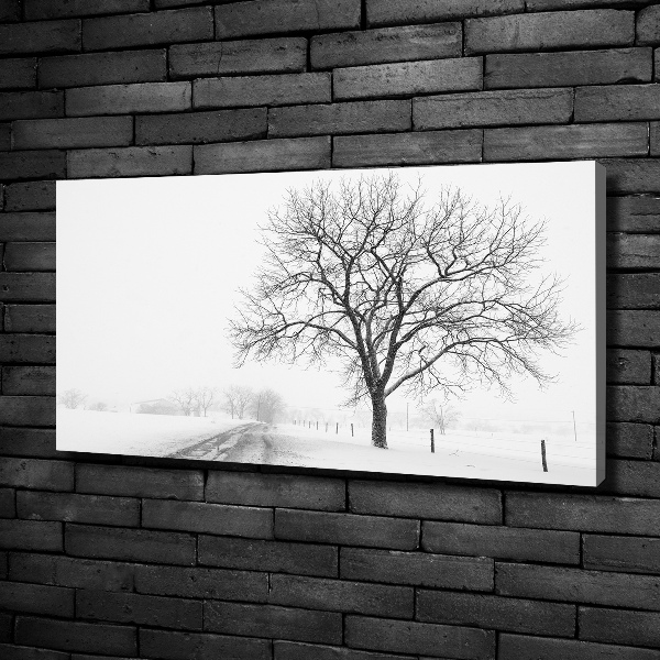 Bild auf leinwand Baum im Winter