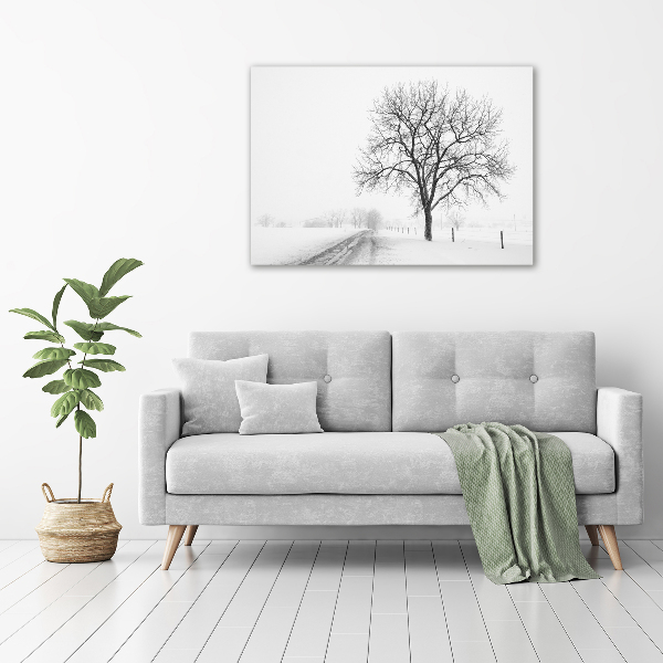 Bild auf leinwand Baum im Winter