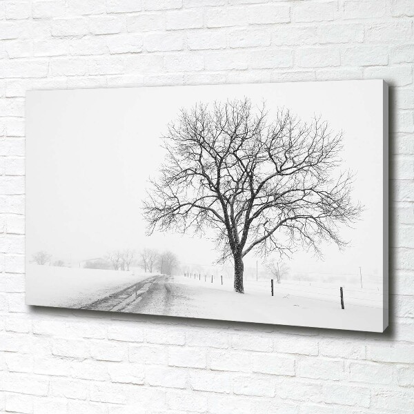 Bild auf leinwand Baum im Winter