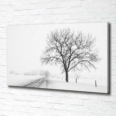 Bild auf leinwand Baum im Winter