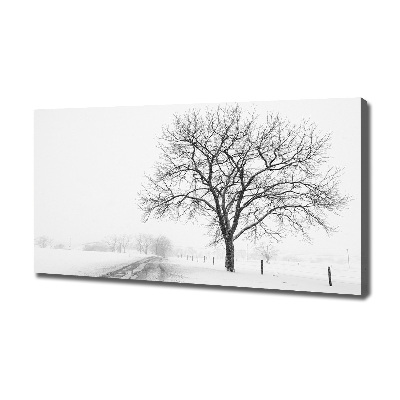 Bild auf leinwand Baum im Winter